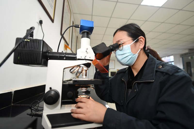 第三方检测：为产品质量护航的隐形卫士